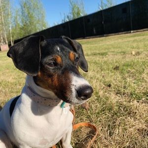 Meet your Posher, Emma